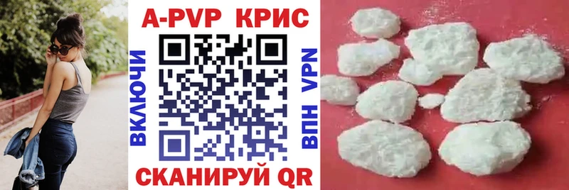 Alpha PVP крисы CK  kraken как войти  Дагестанские Огни 