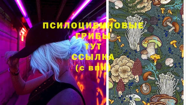 ALPHA PVP Белокуриха