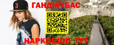 молекула духа Гатчина