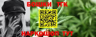 молекула духа Гатчина