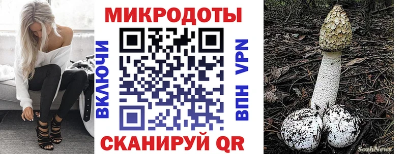 где найти наркотики mega ссылка Галлюциногенные грибы Psilocybine cubensis Дагестанские Огни
